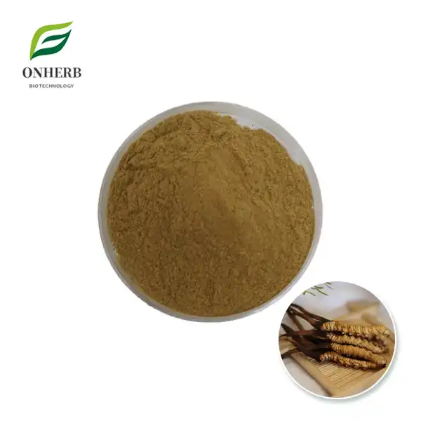 Cordyceps Extract Powder
